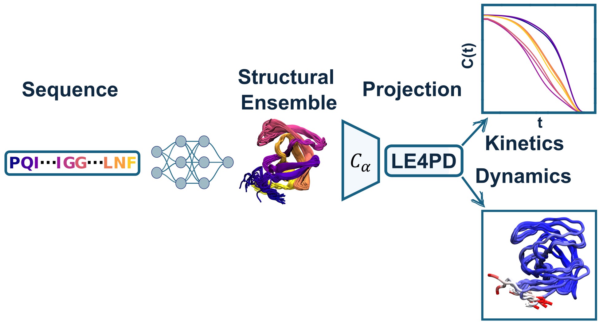 AF2-dynamics workflow: from sequence space to a dynamical space